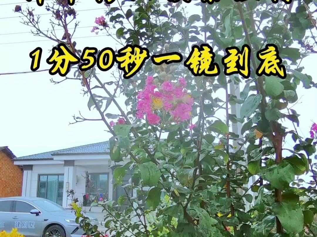 一層鋼結(jié)構(gòu)房屋效果圖（一層鋼結(jié)構(gòu)房屋效果圖揭秘農(nóng)村自建鋼結(jié)構(gòu)房屋效果圖）