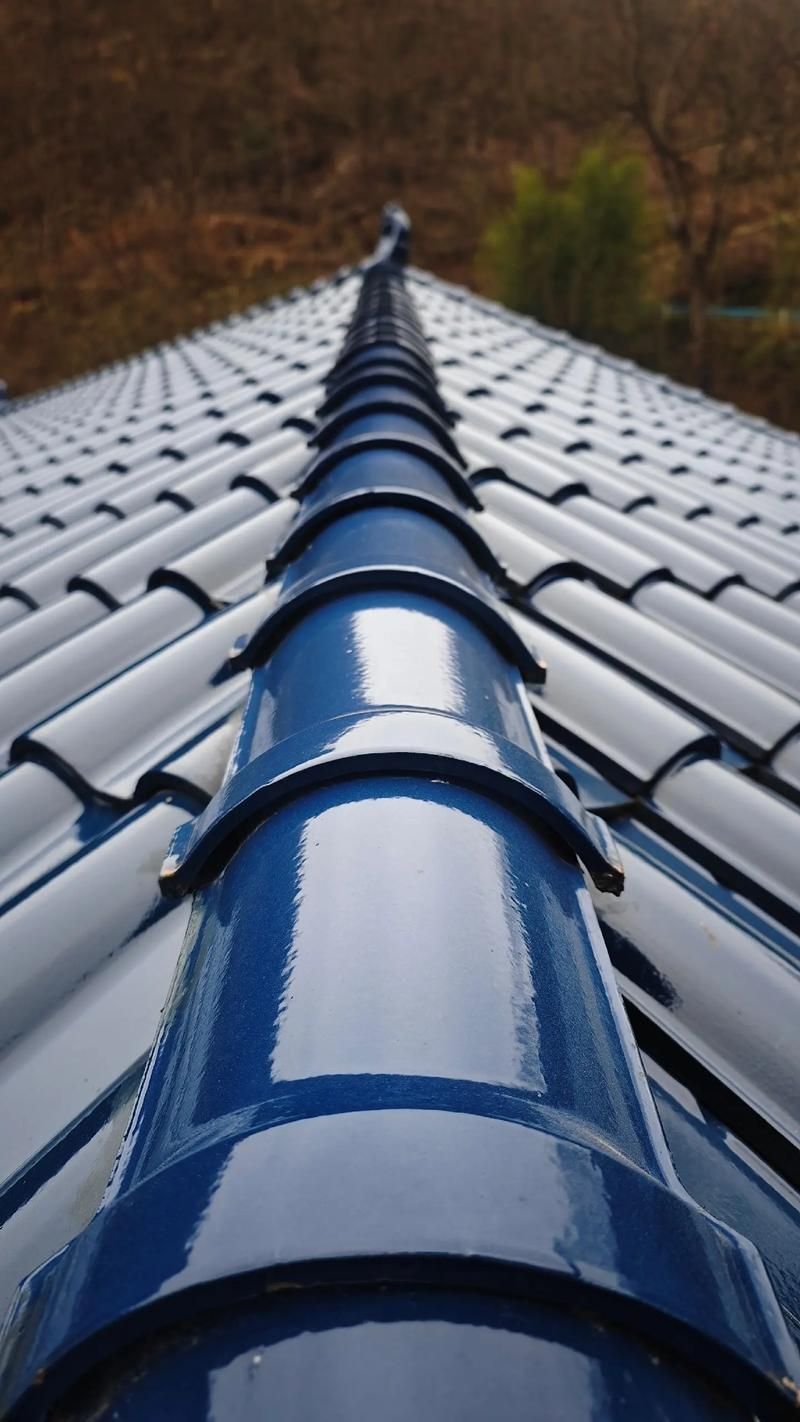 沧州新华给我一些琉璃瓦制作图片 行业新闻 第12张