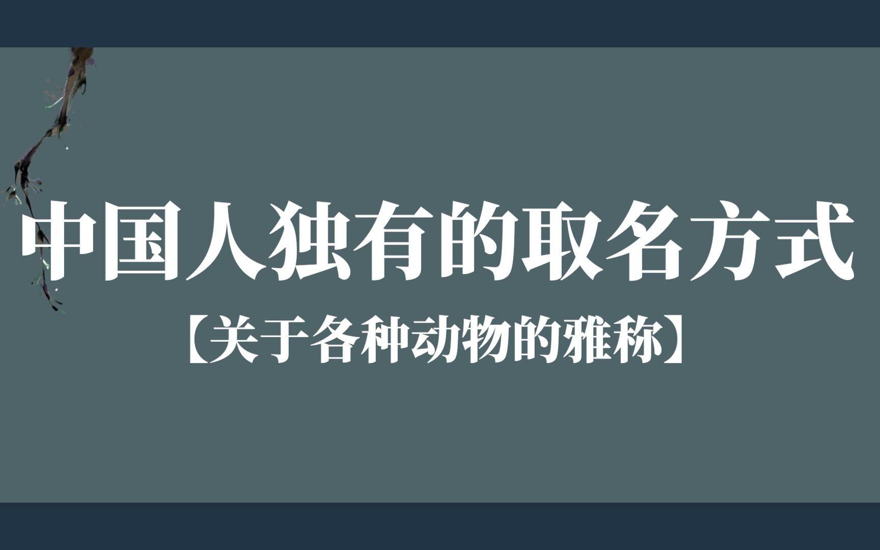 有沒有更多雅稱可以叫？