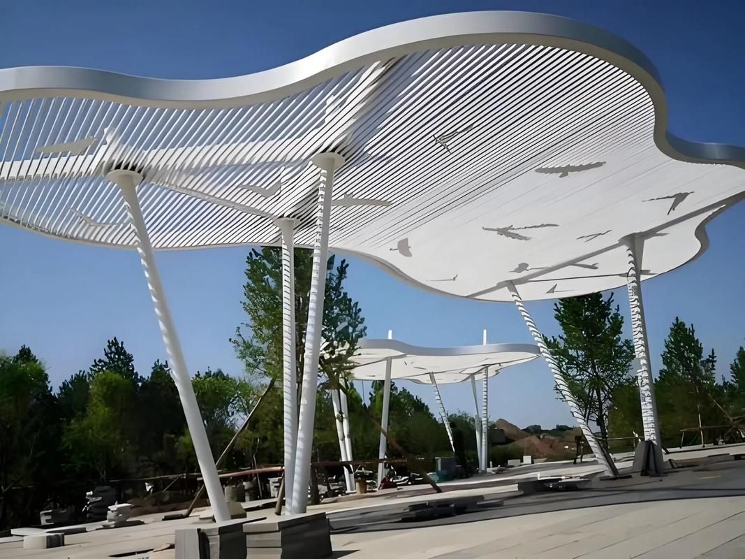 給我一些異形結(jié)構(gòu)圖片的示例（異形結(jié)構(gòu)圖片示例）