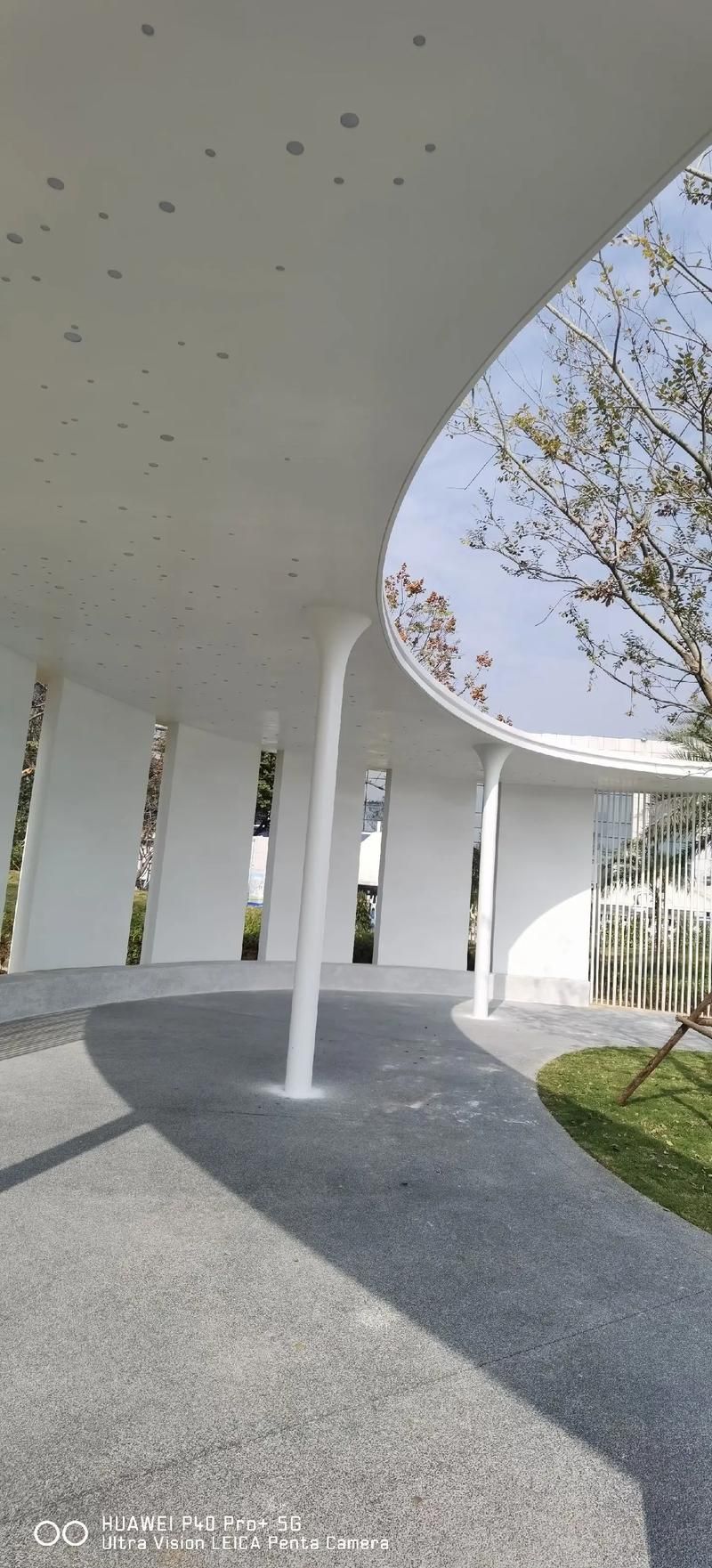 給我一些異形結(jié)構(gòu)圖片的示例（異形結(jié)構(gòu)圖片示例）