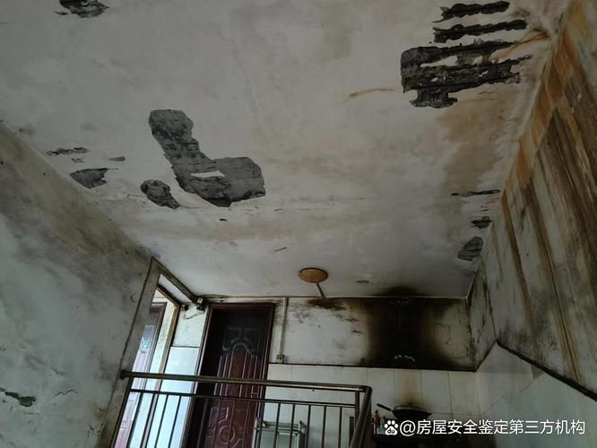 畢節(jié)加固改造公司(北京湃勒思建筑技術(shù)有限公司畢節(jié)加固改造公司哪家好)