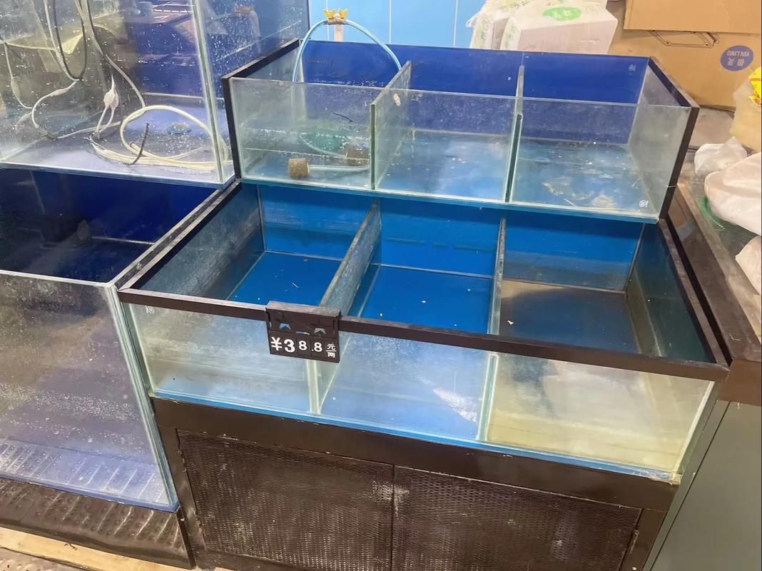 邵陽魚缸批發(fā)市場（邵陽魚缸批發(fā)市場和祥龍魚場品牌營銷是兩個完全不同的領(lǐng)域）
