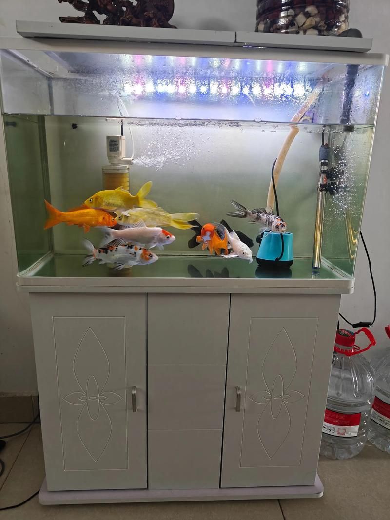 邵陽魚缸批發(fā)市場（邵陽魚缸批發(fā)市場和祥龍魚場品牌營銷是兩個完全不同的領(lǐng)域）