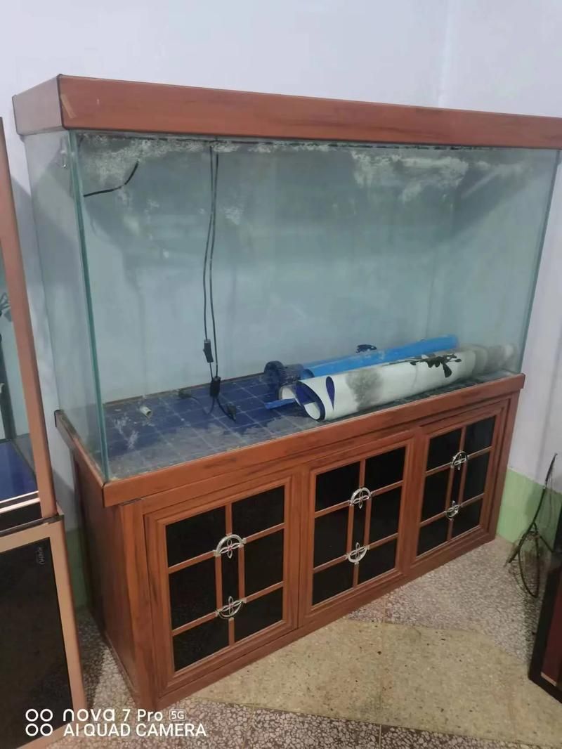 邵陽魚缸批發(fā)市場（邵陽魚缸批發(fā)市場和祥龍魚場品牌營銷是兩個完全不同的領(lǐng)域）