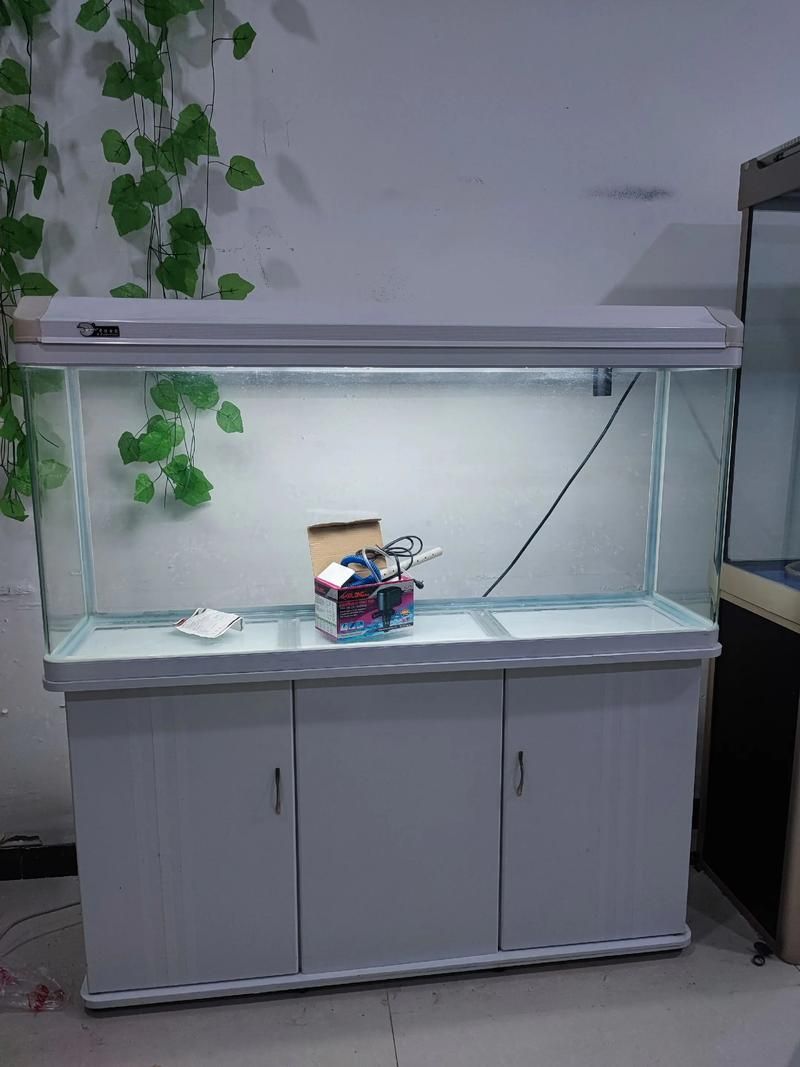 邵陽魚缸批發(fā)市場（邵陽魚缸批發(fā)市場和祥龍魚場品牌營銷是兩個完全不同的領(lǐng)域）