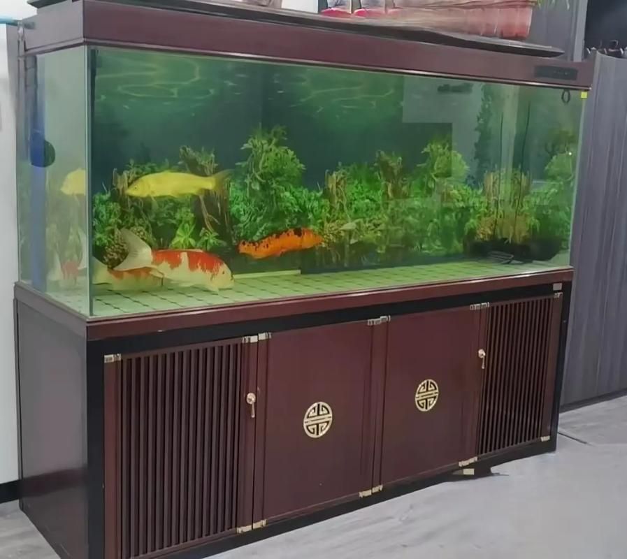 邵陽魚缸批發(fā)市場（邵陽魚缸批發(fā)市場和祥龍魚場品牌營銷是兩個完全不同的領(lǐng)域）