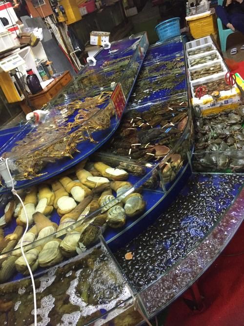 湛江魚缸批發(fā)市場(chǎng)（湛江魚缸批發(fā)市場(chǎng)與祥龍魚場(chǎng)品牌營(yíng)銷）