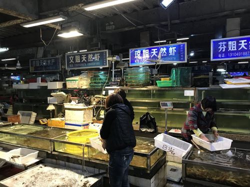 湛江魚缸批發(fā)市場(湛江魚缸批發(fā)市場與祥龍魚場品牌營銷)