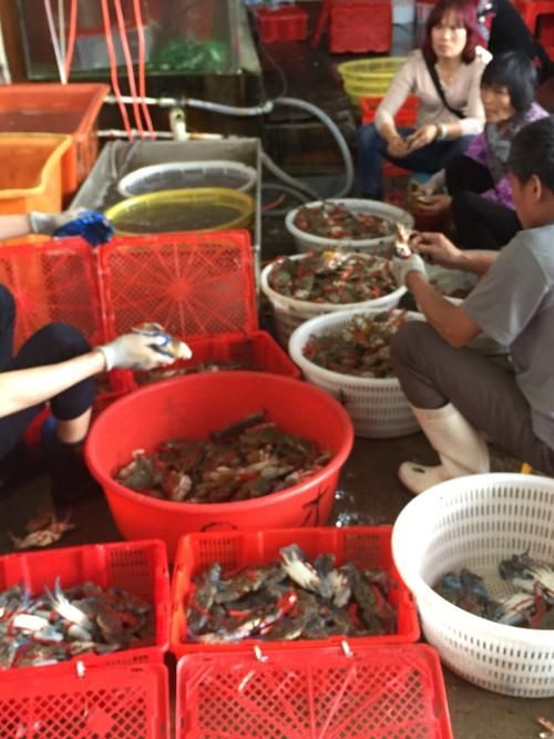 湛江魚缸批發(fā)市場(湛江魚缸批發(fā)市場與祥龍魚場品牌營銷)