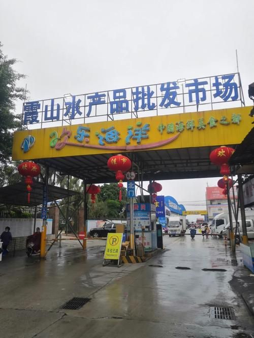 湛江魚缸批發(fā)市場(湛江魚缸批發(fā)市場與祥龍魚場品牌營銷)