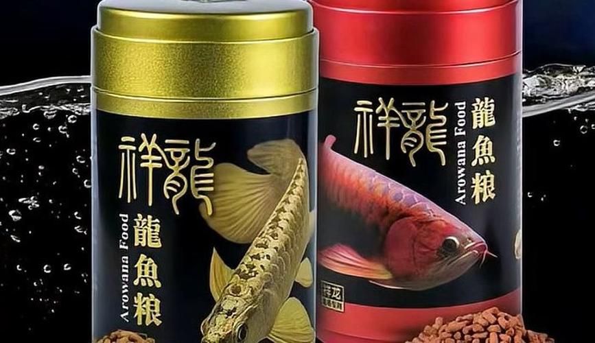 湛江魚缸批發(fā)市場(湛江魚缸批發(fā)市場與祥龍魚場品牌營銷)