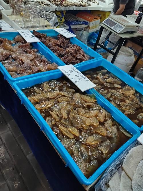 湛江龍魚批發(fā)市場（湛江龍魚市場和祥龍魚場品牌營銷策略值得借鑒）