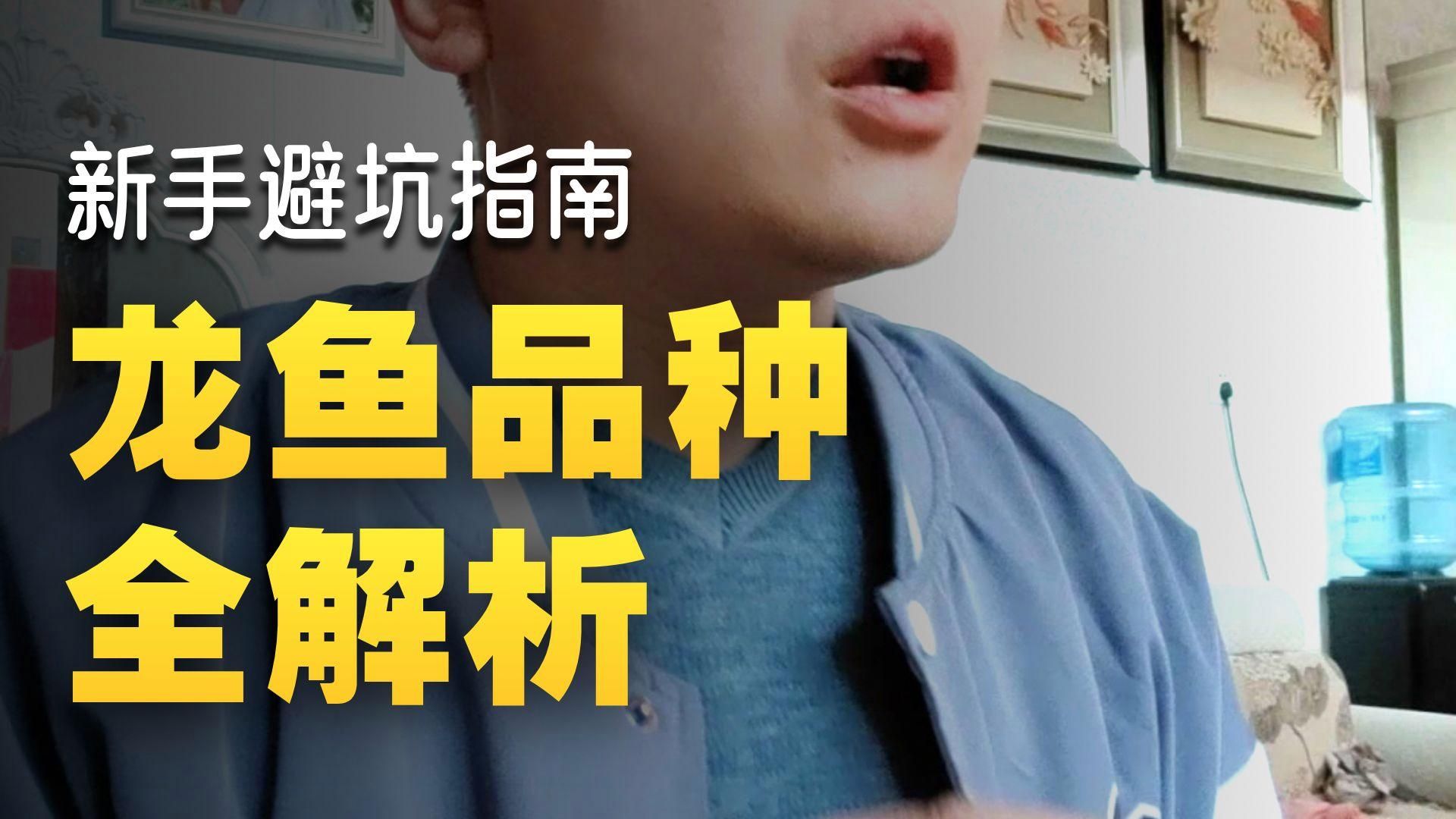 哪些品種的龍魚最適合新手？（適合新手養的龍魚品種：青龍魚、寶石金龍魚、白子銀龍魚）