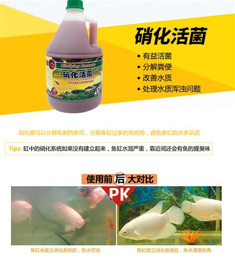 详解（1000字和配图）如何判断龙鱼是否需要补充益生菌？，如何判断龙鱼是否需要补充益生菌