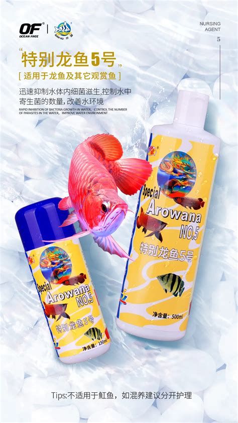 详解（1000字和配图）不使用杀菌灯，龙鱼会生病吗？
