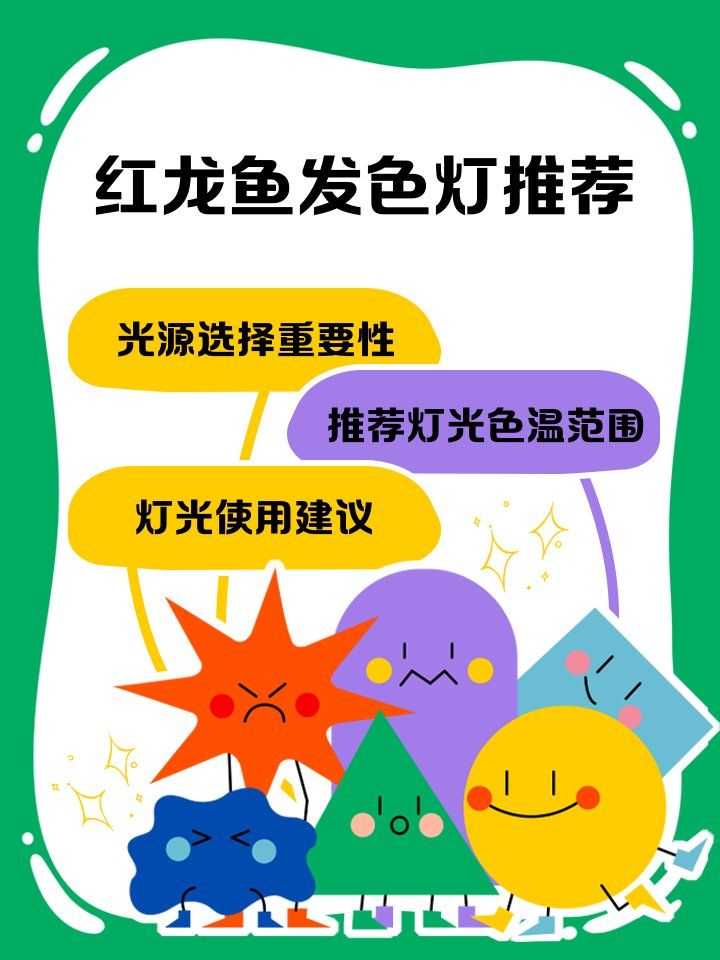 哪種燈對紅龍魚更好？，紅龍魚燈光使用時間表