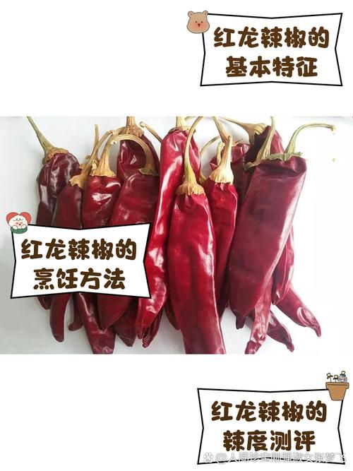 還有哪些品種的紅龍魚價格昂貴？，高價紅龍魚品種對比