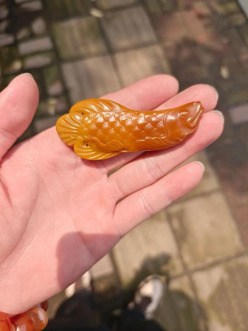 龍魚有哪些著名的品種？，龍魚品種繁多，其中一些最為人所知的包括：紅龍、金龍