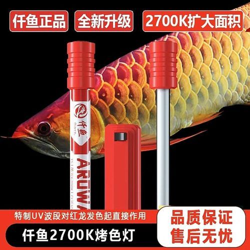 龍魚增色燈和發色燈哪個更耗電？