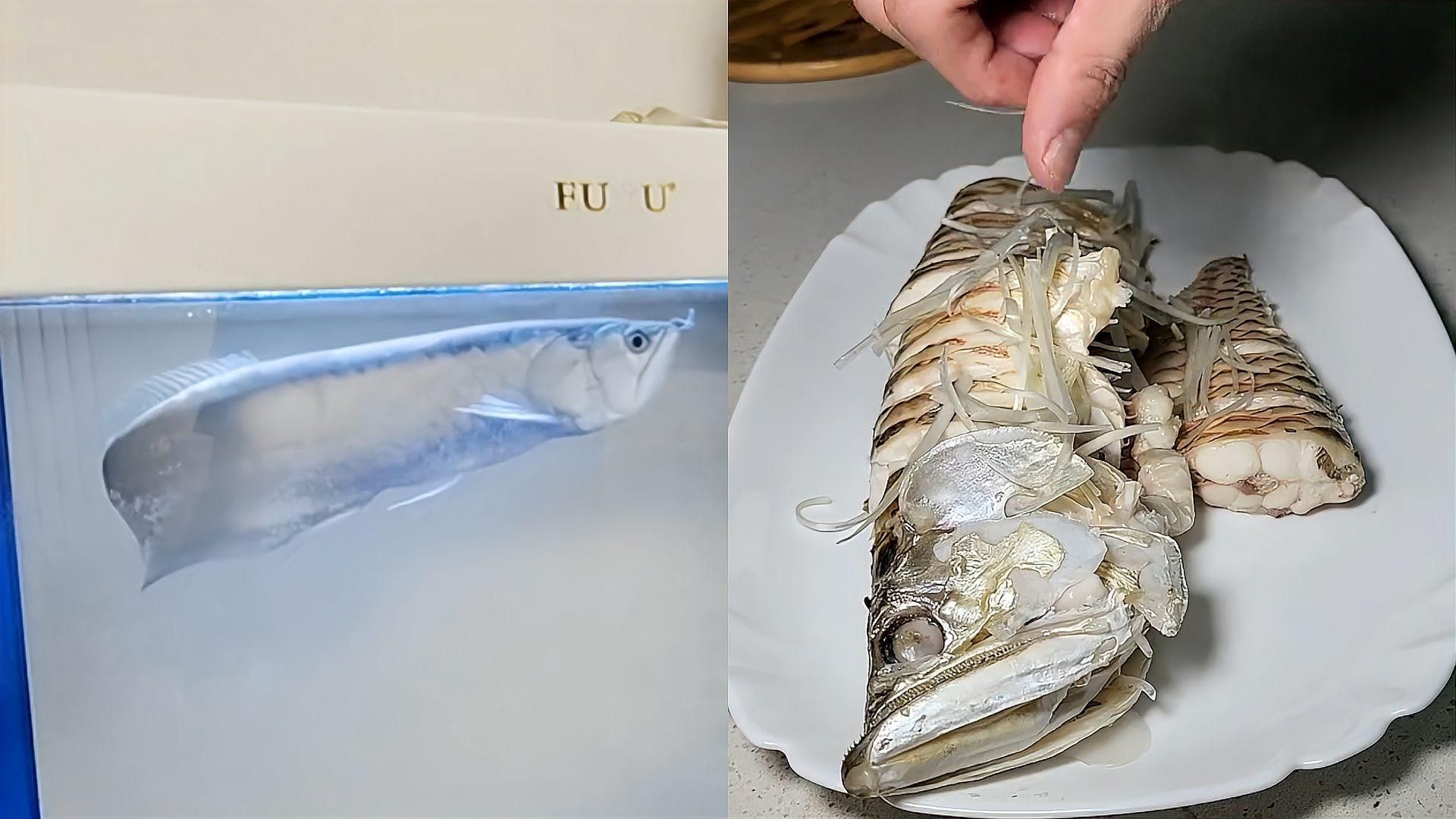 龍魚死亡后如何處理更合適？