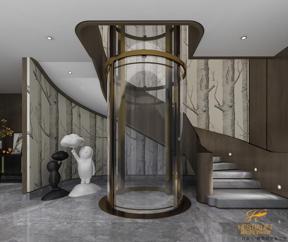 給我一些螺旋電梯的設計圖（給我一些螺旋電梯的設計圖,展開,螺旋電梯作為一種兼具功能性與藝術性的垂直交通解決方案） 行業(yè)新聞 第6張