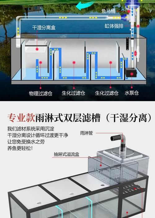 詳細閱讀:白色龍魚有哪些飼養注意事項?,白色龍魚的飼養注意事項 白色龍魚有哪些飼養注意事項?,白色龍魚的飼養注意事項