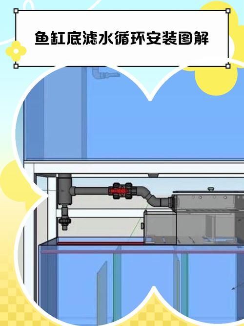 詳細閱讀:白色龍魚有哪些飼養注意事項?,白色龍魚的飼養注意事項 白色龍魚有哪些飼養注意事項?,白色龍魚的飼養注意事項