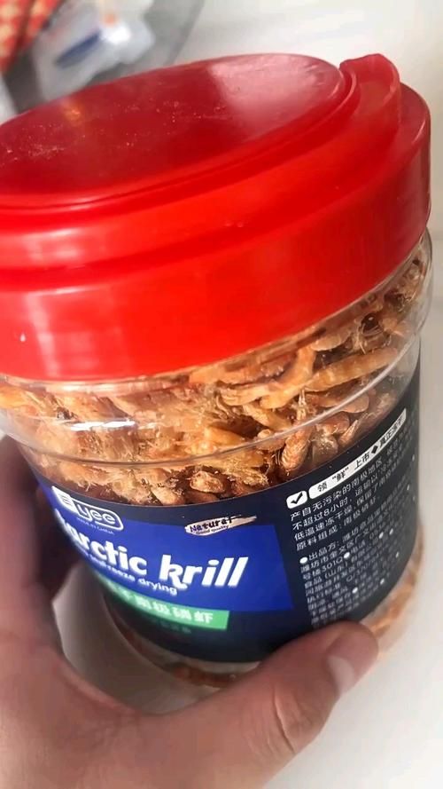 白色龍魚有哪些飼養注意事項？，白色龍魚的飼養注意事項 白色龍魚有哪些飼養注意事項？，白色龍魚的飼養注意事項 龍魚百科 第10張