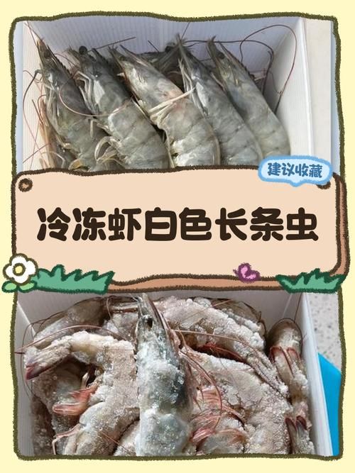 白色龍魚有哪些飼養注意事項？，白色龍魚的飼養注意事項 白色龍魚有哪些飼養注意事項？，白色龍魚的飼養注意事項 龍魚百科 第11張