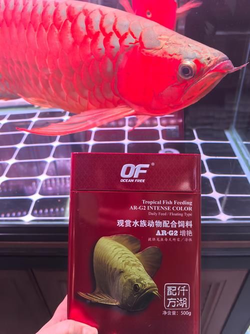 有哪些品牌专门针对红龙鱼的饵料？，仟湖ofg系列红龙鱼饲料选购清单