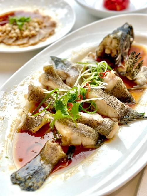 東山龍魚如何食用？，東山龍魚的食用指南