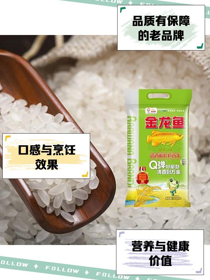 金龍魚方正長粒香新米的口感如何？，金龍魚方正長粒香新米怎么樣 金龍魚方正長粒香新米的口感如何？，金龍魚方正長粒香新米怎么樣 龍魚百科 第3張