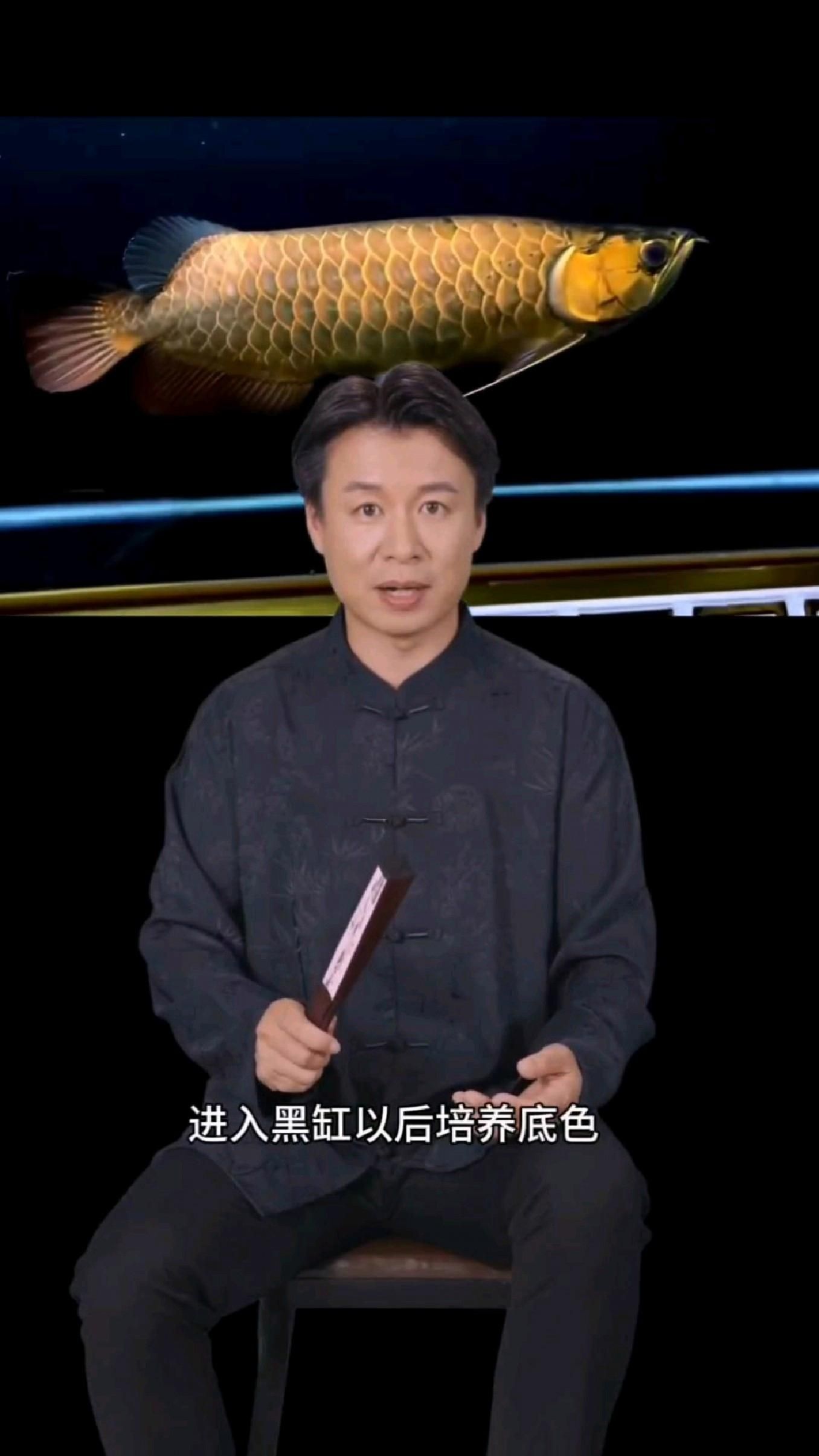 給我推薦一些適合家庭養殖的龍魚品種，家庭養殖的龍魚品種：龍魚飼養指南