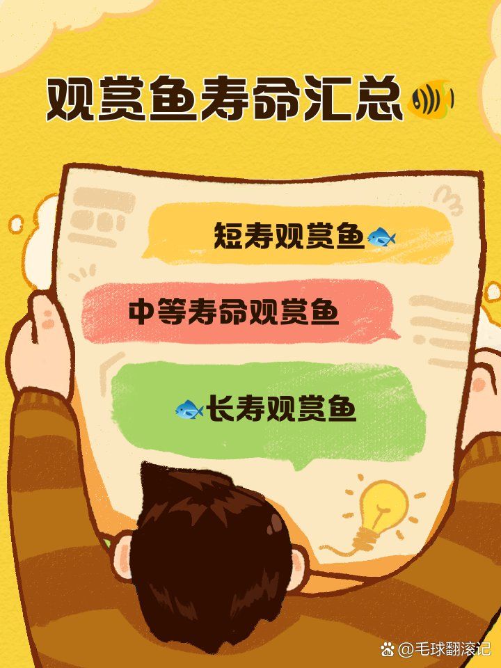 龍魚和銀板魚的壽命差異大嗎？，龍魚和銀板魚的壽命差異大嗎龍魚和銀板魚的壽命差異大嗎