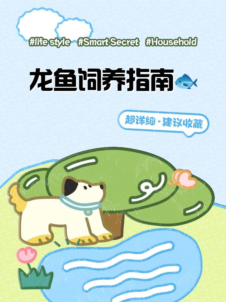 順平龍魚的養殖技術有哪些？，河北順平龍魚養殖技術 順平龍魚的養殖技術有哪些？，河北順平龍魚養殖技術 龍魚百科 第7張