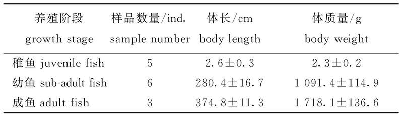 资源龙鱼的重金属含量如何？，资源龙鱼的重金属含量特征,亚洲龙鱼重金属含量特征