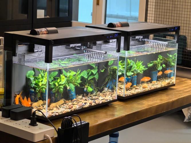 哪個品牌的魚缸口碑最好？，高口碑魚缸品牌選購對比表