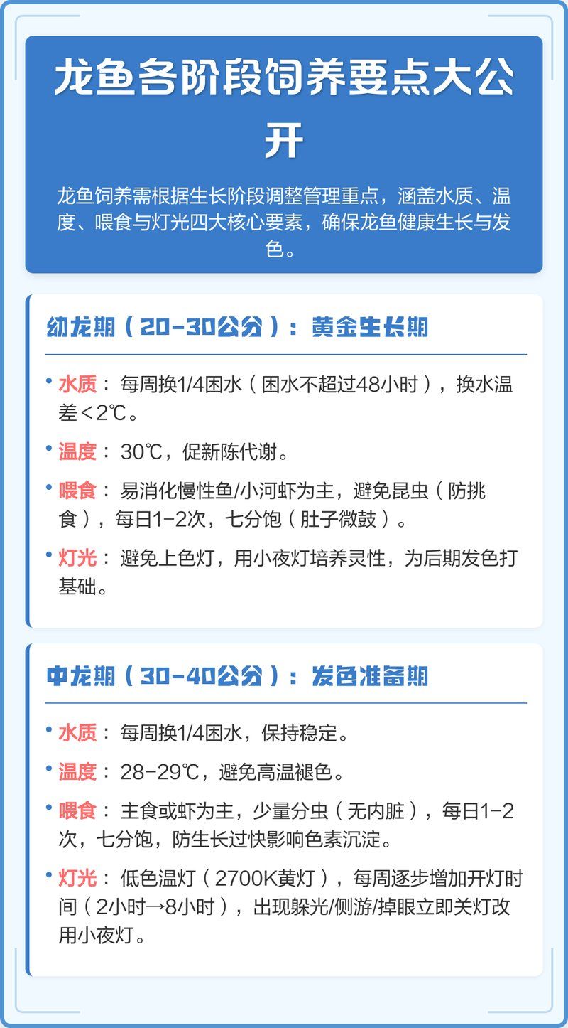正安龙鱼的养殖技术有哪些？