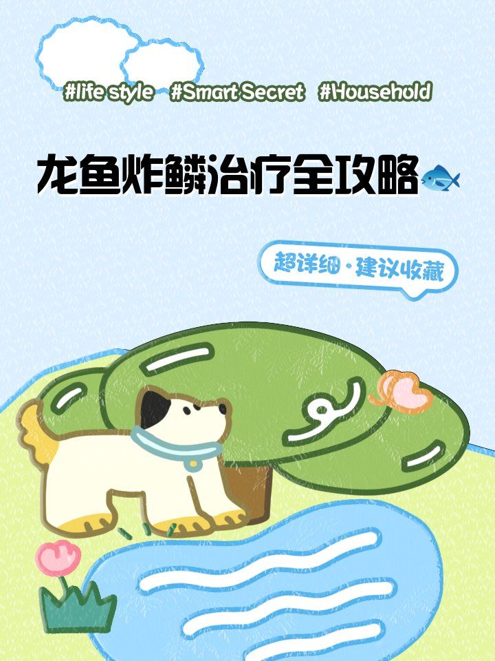 龍魚炸鱗后多久可以喂食，龍魚炸鱗后多久可以喂食龍魚炸鱗后多久可以喂食