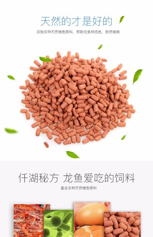 有哪些品牌龍魚(yú)飼料推薦，性價(jià)比高的龍魚(yú)飼料