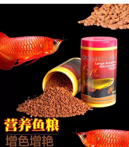 有哪些品牌龍魚飼料推薦,性價比高的龍魚飼料 龍魚百科 第12張 有哪些品牌龍魚飼料推薦,性價比高的龍魚飼料 有哪些品牌龍魚飼料推薦,性價比高的龍魚飼料 龍魚百科 第12張
