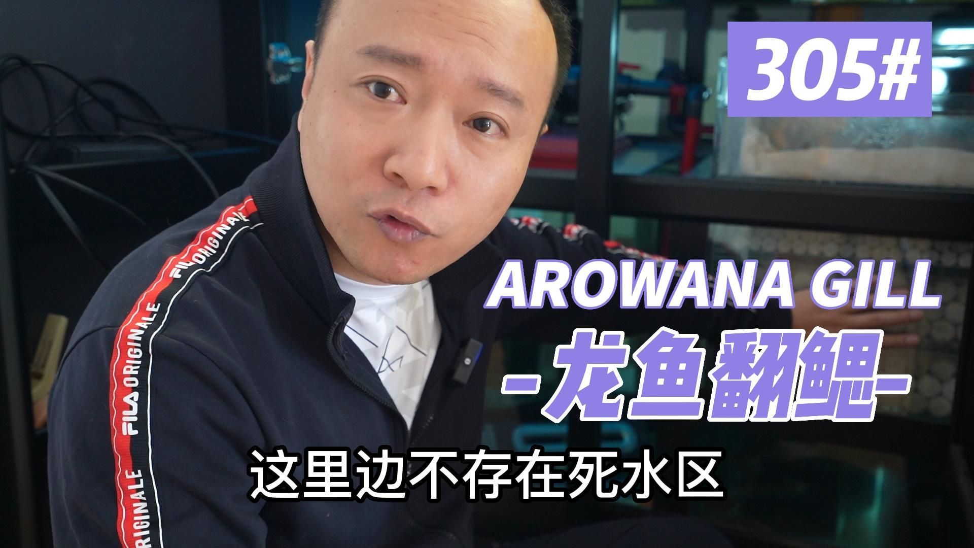 如何判斷龍魚是否患有翻鰓癥，如何判斷龍魚患有翻鰓癥