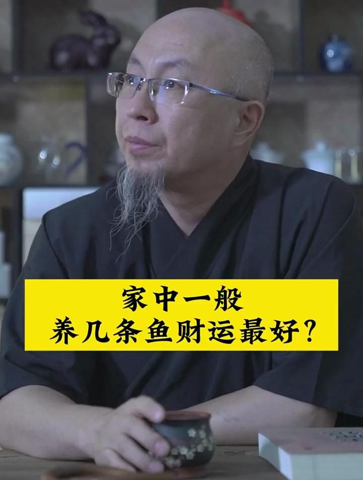 养一条鱼有哪些风水讲究，养一条鱼的风水讲究
