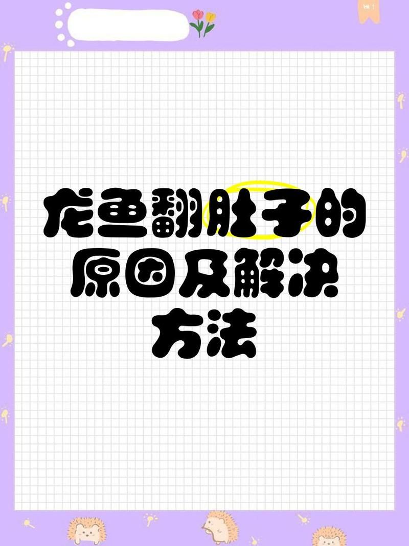 有哪些藥物可以治療龍魚翻肚，寵物營(yíng)養(yǎng)專家，龍魚翻肚的原因及解決方法