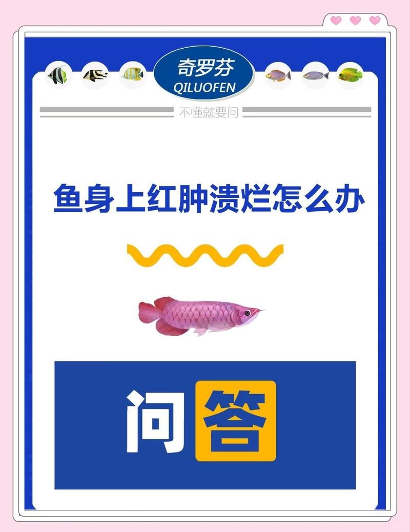 魚身上潰爛能活多久，魚身上潰爛能活多久，