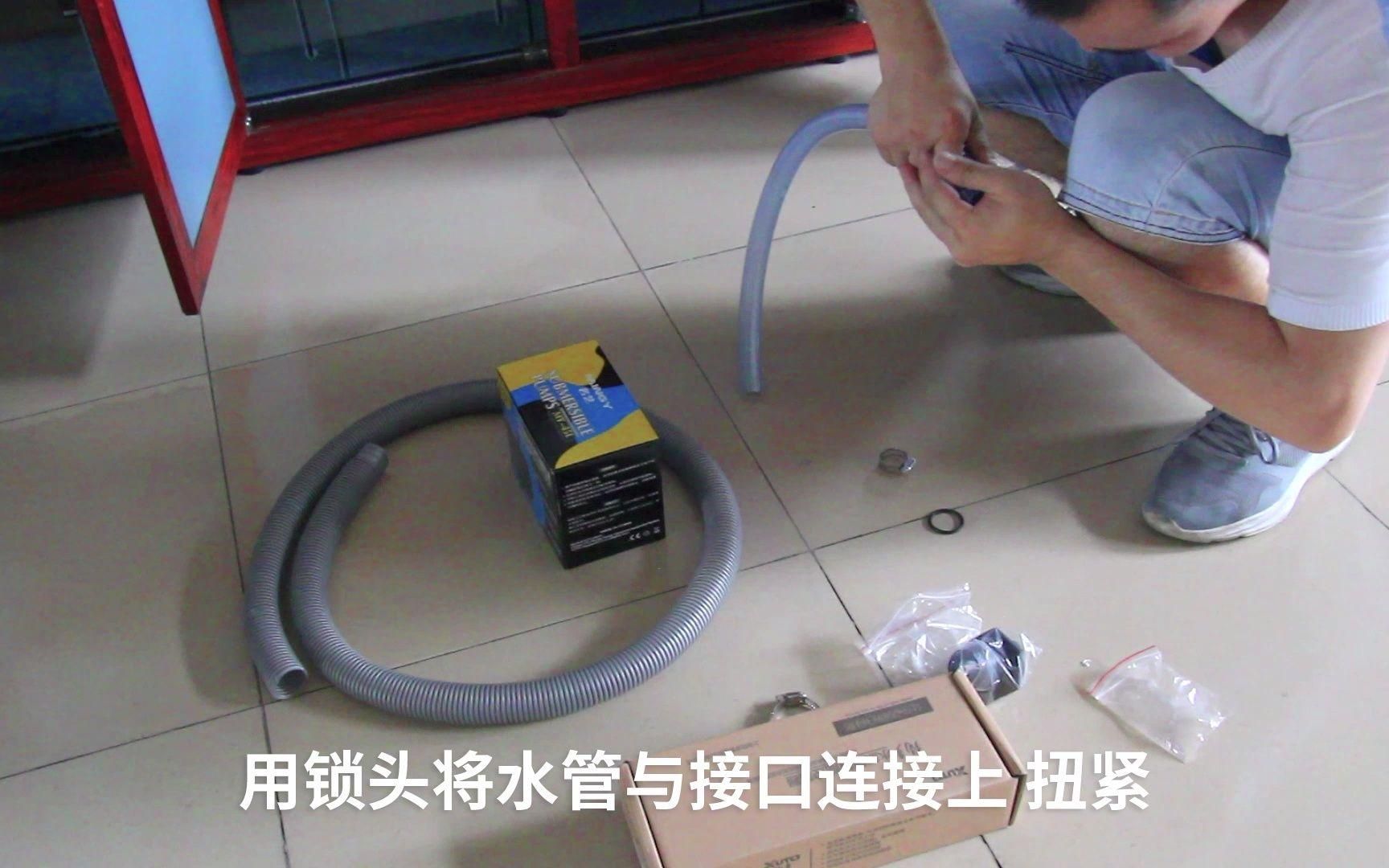 如何預防龍魚鰭部感染，創口直接暴露于病原體思考完成龍魚鰭部感染的預防方案 如何預防龍魚鰭部感染，創口直接暴露于病原體思考完成龍魚鰭部感染的預防方案 龍魚百科 第7張