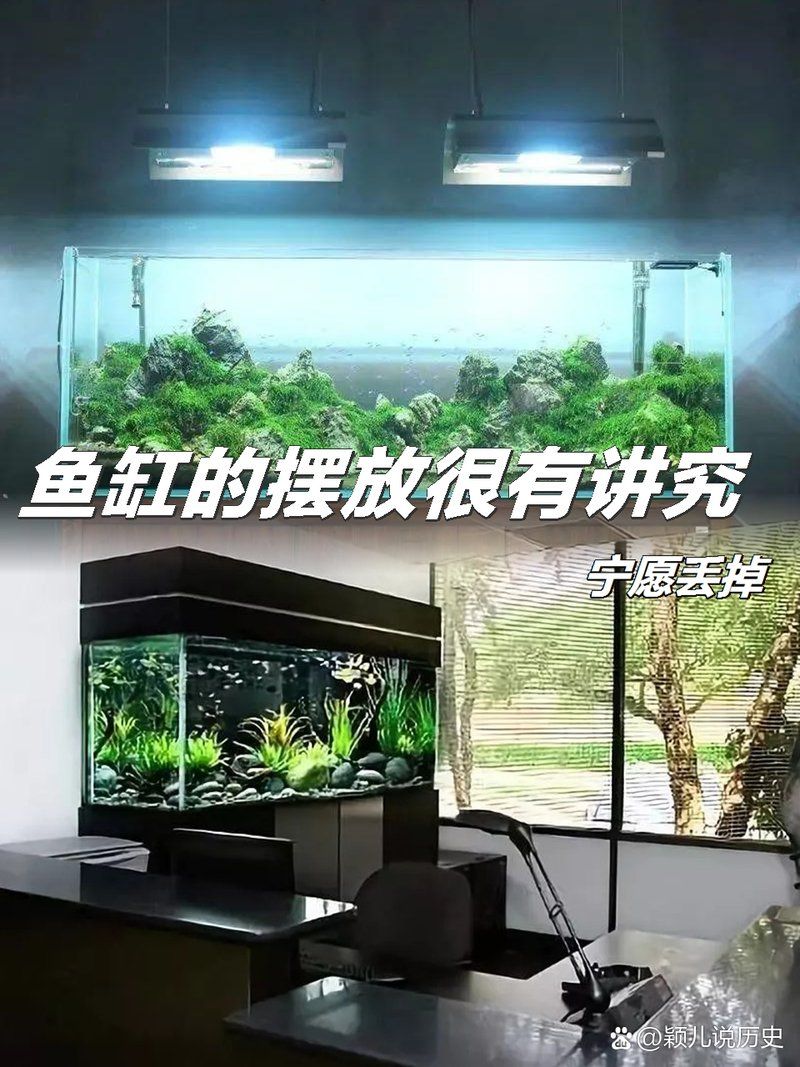 如何判断鱼缸和神位的方位