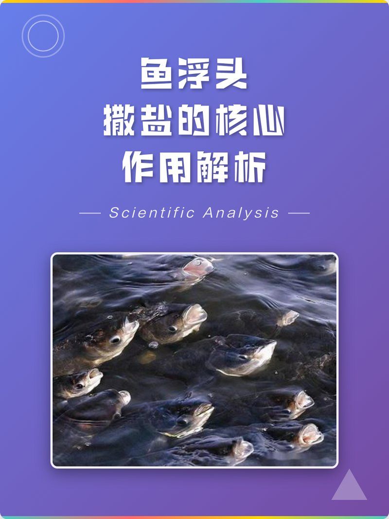 魚浮頭時撒鹽的正確方法，魚浮頭撒鹽的正確方法