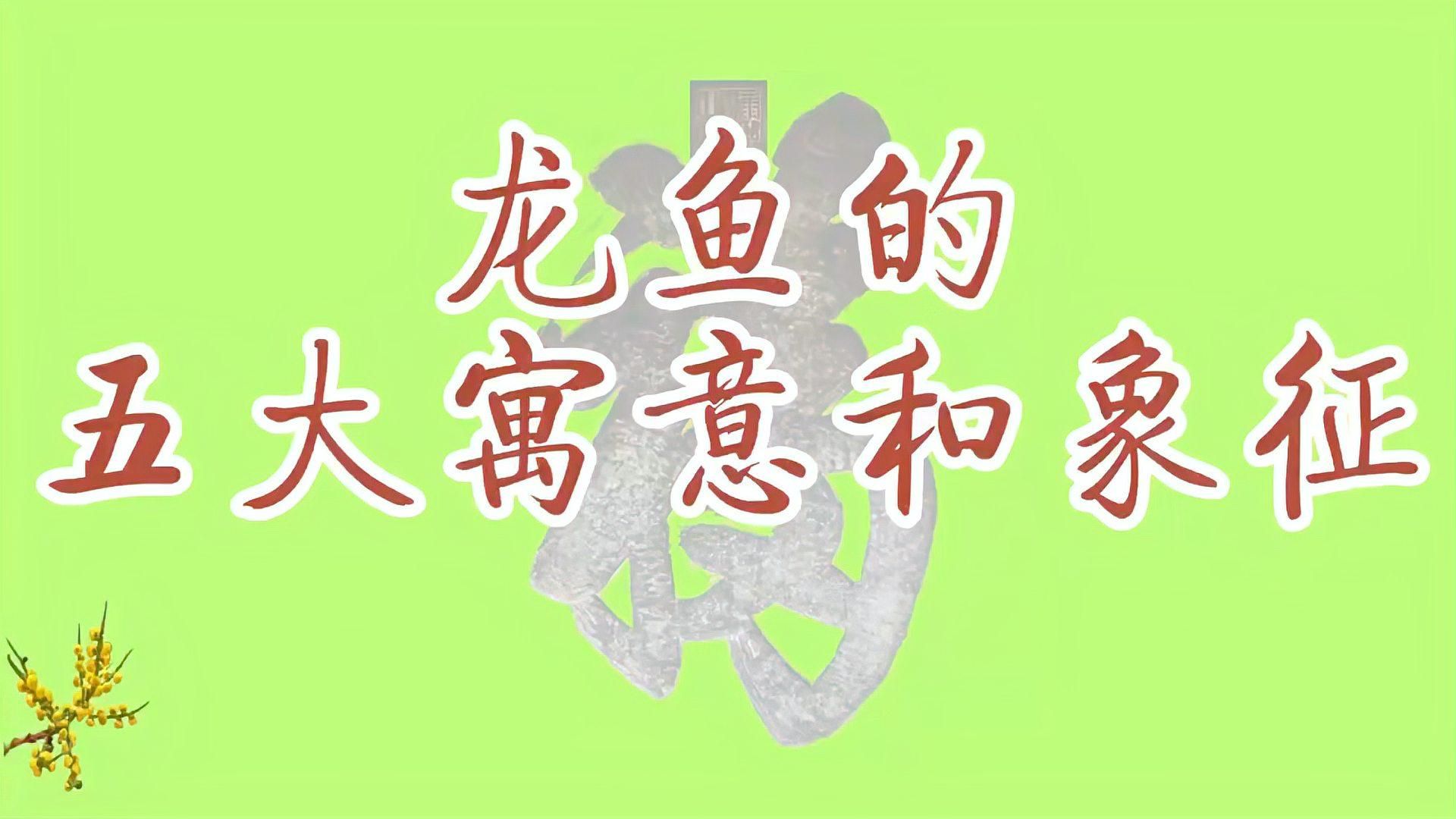 龍魚在風(fēng)水中的作用，龍魚風(fēng)水布局指南